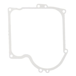 Joint Briggs et Stratton - 270915 - Joint