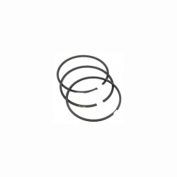 Segments Briggs et Stratton - 299743 - 690014 - Jeu de segments