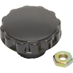 Bouton Briggs et Stratton - 391908 - Pièces détachées & conso