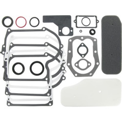 Kit Briggs et Stratton - 393411 - Joint