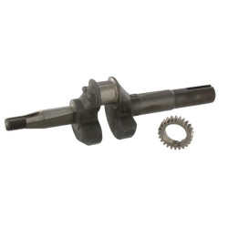 Vilebrequin Briggs et Stratton - 493726 - Vilebrequin