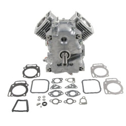 Short Briggs et Stratton - 494057 - Pièces détachées & conso