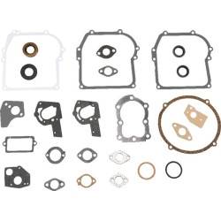 Kit Briggs et Stratton - 495602 - Joint