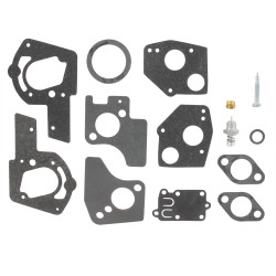 Kit de carburateur Briggs et Stratton - 495606 - 494624 - Joint