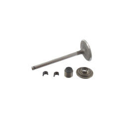 Soupape d'admission Briggs et Stratton - 495857 - 695761 - 791935 - Soupape