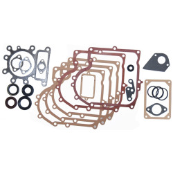 Joints moteur Briggs et Stratton - 495993 - Joint
