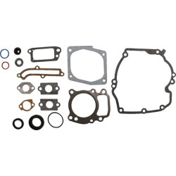 Kit Briggs et Stratton - 496055 - Joint