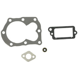 Kit Briggs et Stratton - 498526 - Joint