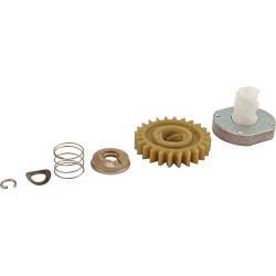 Pignon Briggs et Stratton - 499308 - Pignon