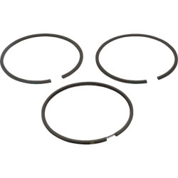 Kit Briggs et Stratton - 499427 - Jeu de segments