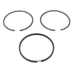 Kit Briggs et Stratton - 499998 - Jeu de segments