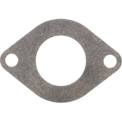 Joint Briggs et Stratton - 590396 - Joint
