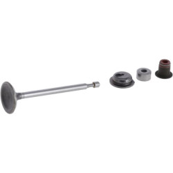 Soupape d'admission Briggs et Stratton - 590530 - Soupape