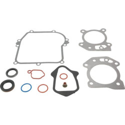 Joints moteur Briggs et Stratton - 595350 - 592640 - Joint