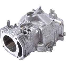 Assemblage de cylindre Briggs et Stratton - 597120 - Cylindre