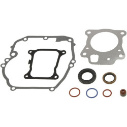 Jeu de joints Briggs et Stratton - 597320 - Joint