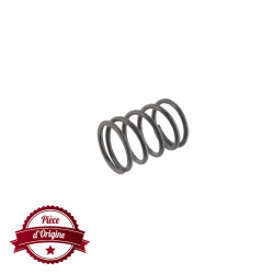 Ressort de soupape Briggs et Stratton - 691304 - Câble, ressort, tige, collier
