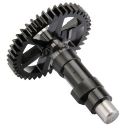 Arbre à came Briggs et Stratton - 691998 - Moteur