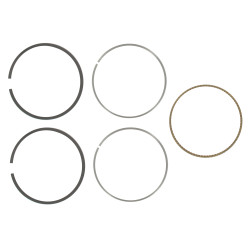 Segments Briggs et Stratton - 699026 - Jeu de segments