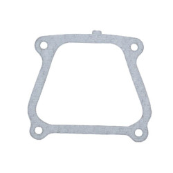 Joint Briggs et Stratton - 710024 - Joint