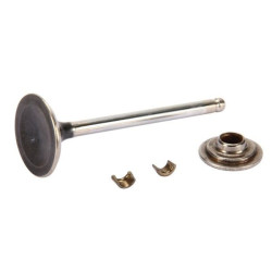 Soupape d'échappement Briggs et Stratton - 792868 - 695760 - 791934 - 698370 - 495856 - Soupape