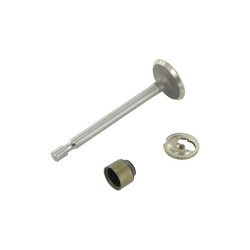 Soupape d'admission Briggs et Stratton - 795443 - Soupape