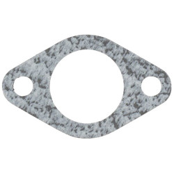 Joint Briggs et Stratton - 800040 - Joint