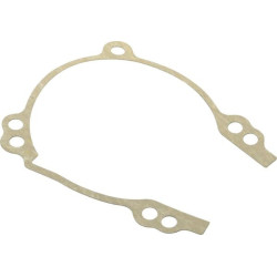 Joint Briggs et Stratton - 800055 - Joint