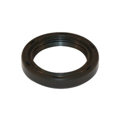 Joint à lèvre Briggs et Stratton - 805049S - Joint