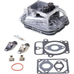 Culasse Briggs et Stratton - 84001918 - Moteur