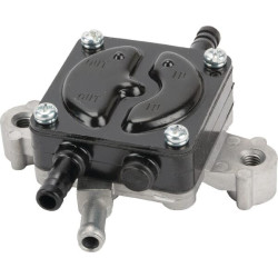 Pompe Briggs et Stratton - 84003048 - Pompe