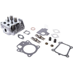 Culasse Briggs et Stratton - 84003960 - Moteur