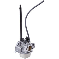 Carburateur Briggs et Stratton - 84005069 - Carburateur