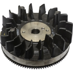 Volant Briggs et Stratton - 842514 - Volant Moteur