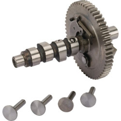 Arbre a cames Briggs et Stratton - 845649 - Moteur