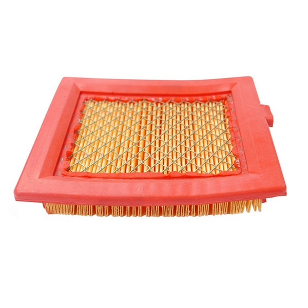 Filtre à air papier moteur  GGP - 118550147/0 - Filtre à air