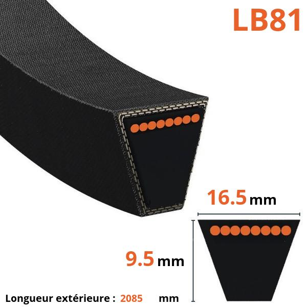 Courroie lisse trapézoïdale - Mitsuboshi - LB81 - Courroie tondeuse