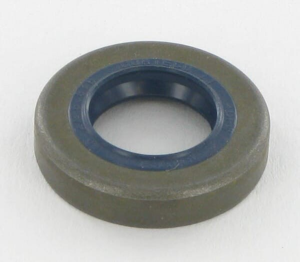 Joint spi ALPINA 3121120 - GGP - 3121120 - Joint spi