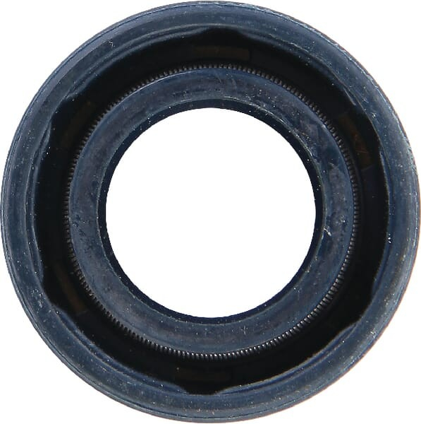 Joint spi ALPINA 3121071 - GGP - 3121071 - Joint spi