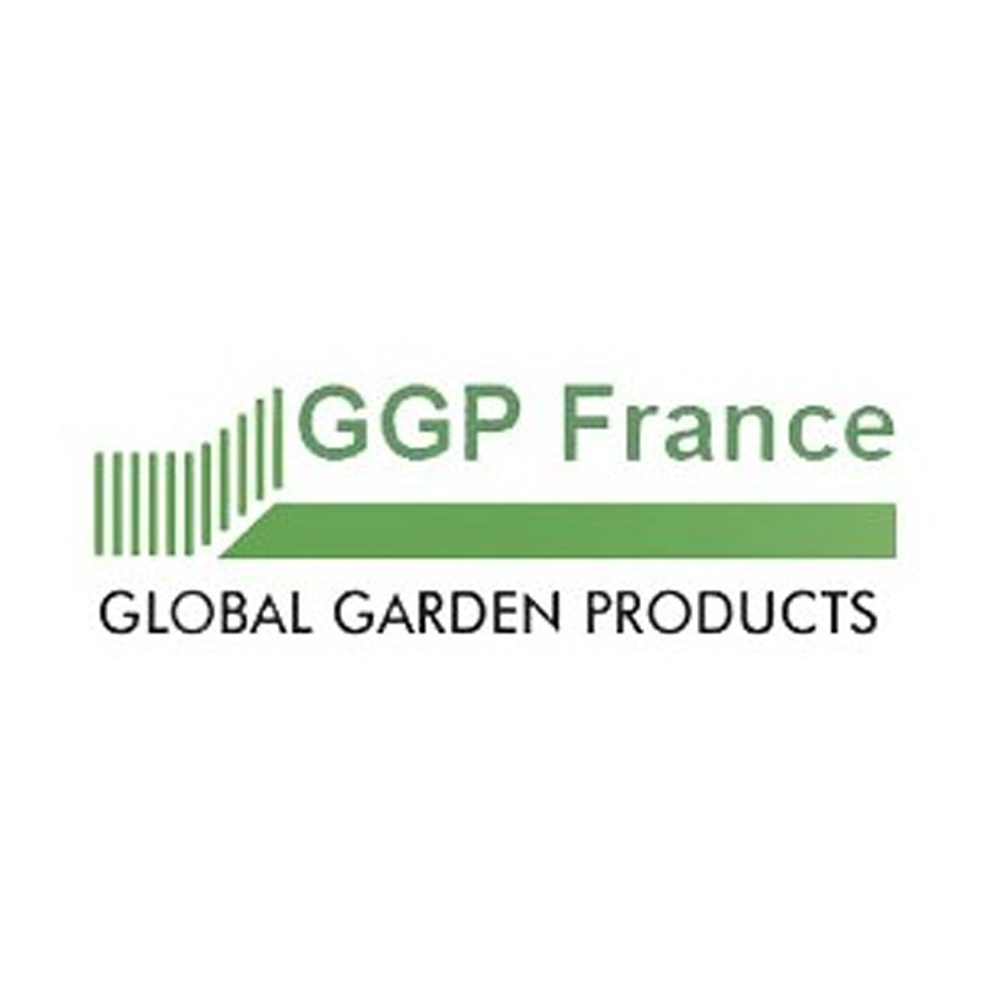 Pignon de tronçonneuse CASTELGARDEN - 118800916-0 - 1188009160 - GGP - 118800916/0 - 1188009160 - Pignon et roulement pour tronçonneuse