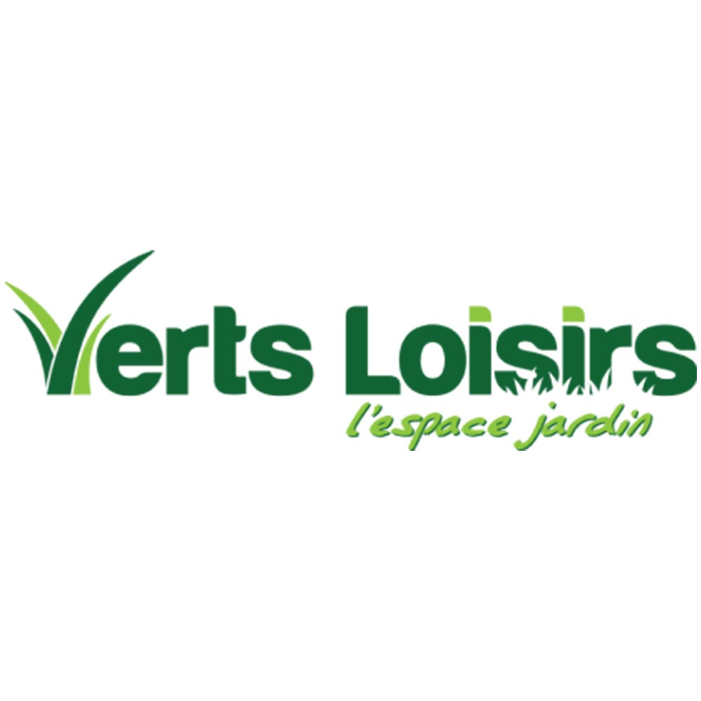 KIT REPARATION LANCEUR GX160 - Pièces détachées & conso