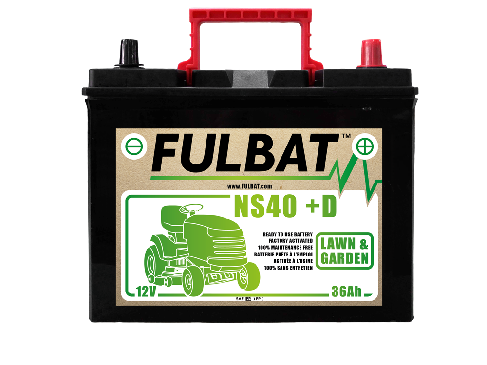 BATTERIE NS40 (+D) Ca/Ca 12V 36 Ah 195-126-221 - / + - Batterie