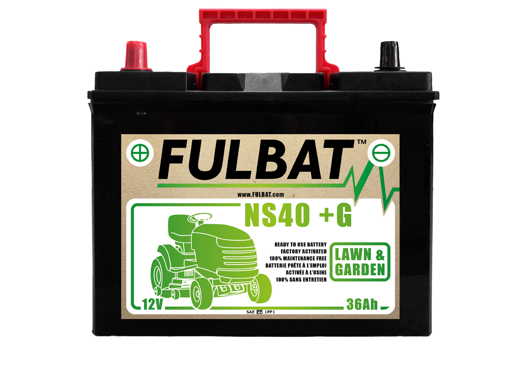 BATTERIE NS40 (+G) Ca/Ca 12V 36 Ah 195-126-221 + / - - Batterie